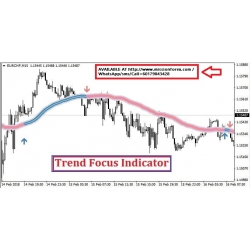 Trend Focus indicator (Enjoy Free BONUS Forex Genetic)